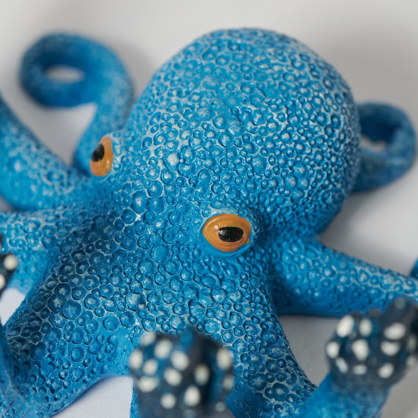 middle finger octopus